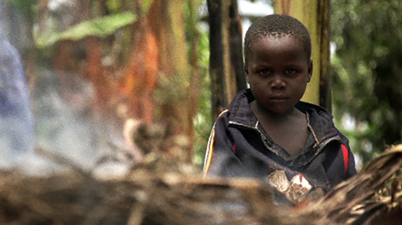 FOOD EVOLUTIONとは